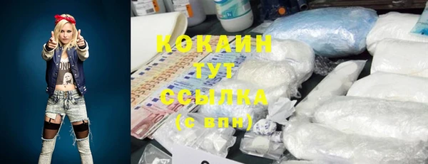 шишки Нязепетровск