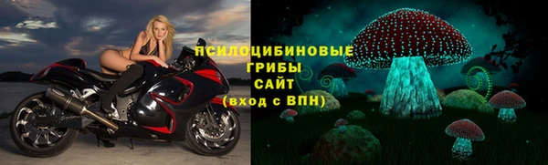 ГАЛЛЮЦИНОГЕННЫЕ ГРИБЫ Няндома