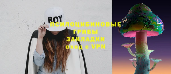 ГАЛЛЮЦИНОГЕННЫЕ ГРИБЫ Няндома