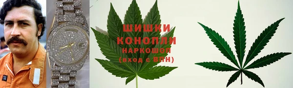 ГАЛЛЮЦИНОГЕННЫЕ ГРИБЫ Няндома