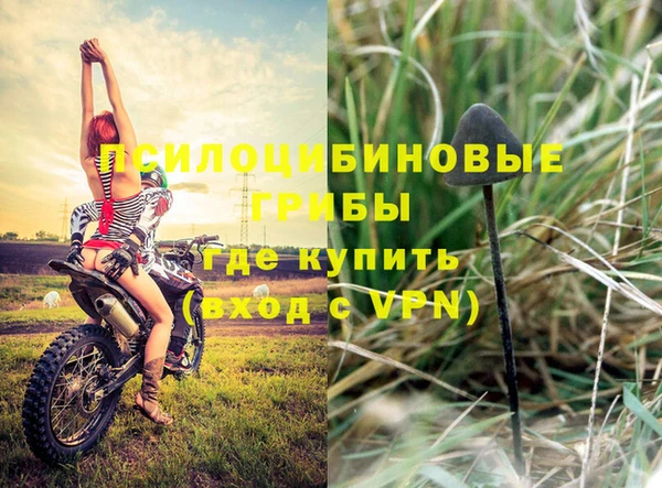 мескалин Нягань