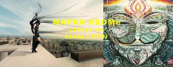 шишки Нязепетровск