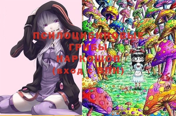 шишки Нязепетровск