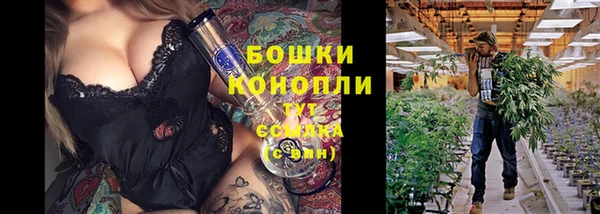шишки Нязепетровск