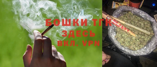 шишки Нязепетровск