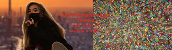 ГАЛЛЮЦИНОГЕННЫЕ ГРИБЫ Няндома