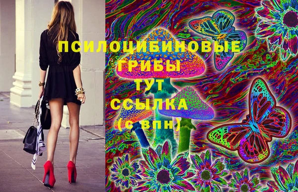 шишки Нязепетровск